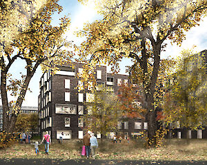 1. Preis Wettbewerb Murifeld