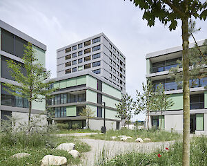 Foto Wohnüberbauung Henz-Areal, Suhr